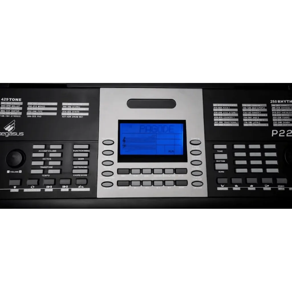 Teclado-Sintetizador-Eletrico-61-Teclas-Preto-P-222---Pegasus-3.webp
