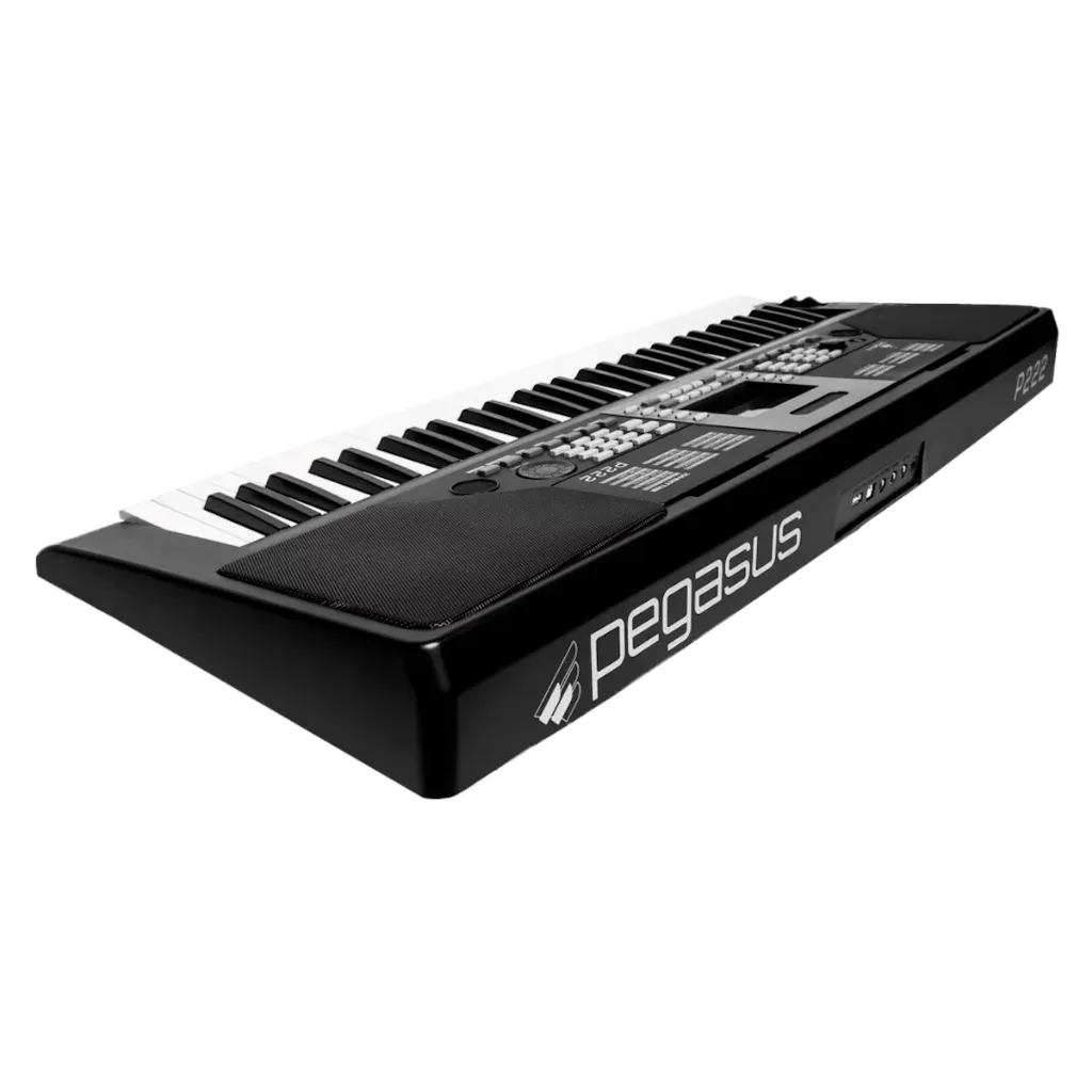 Teclado-Sintetizador-Eletrico-61-Teclas-Preto-P-222---Pegasus-1.webp