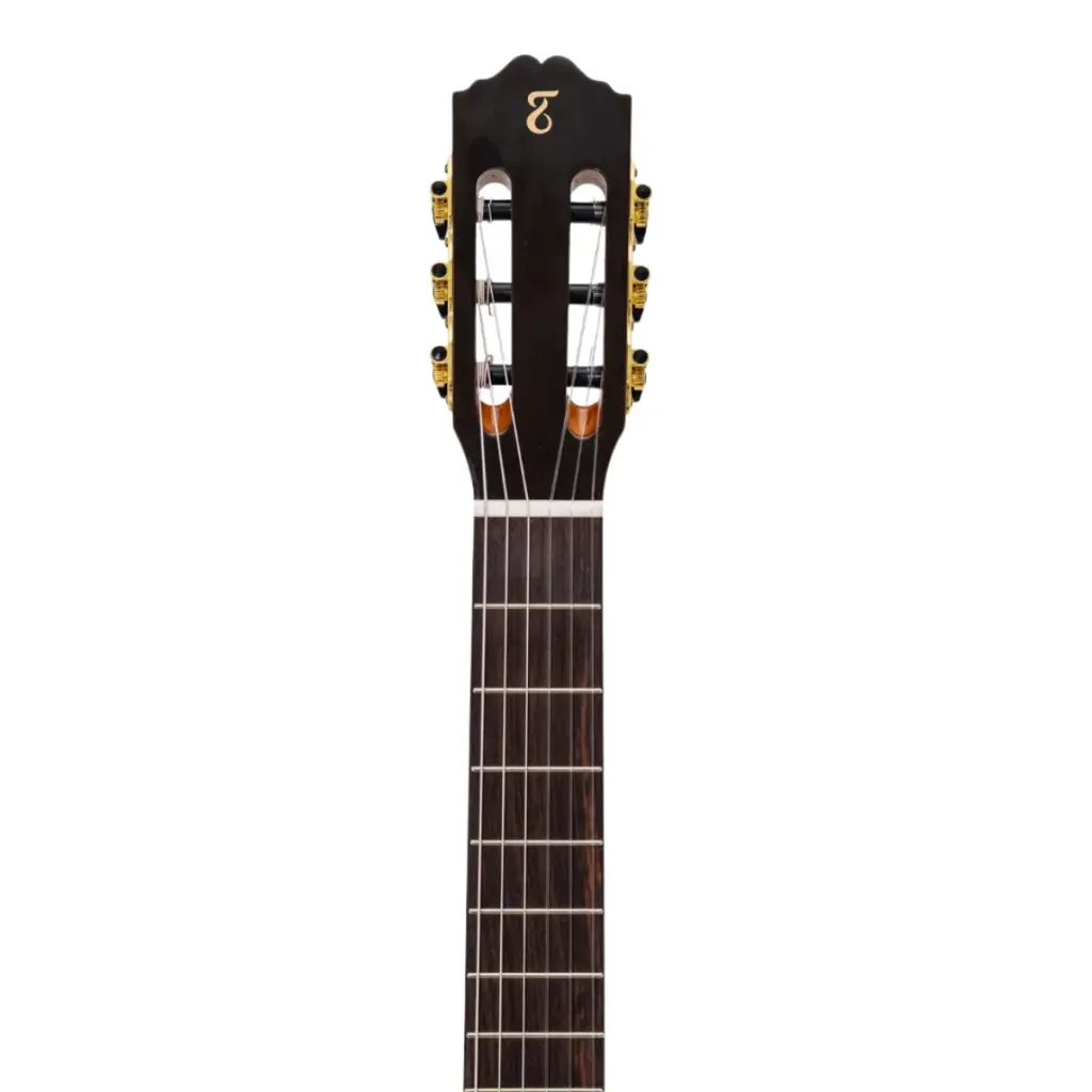 21446_classic-cutaway-eq-nylon-t-spruce-solido-sapele-vesperata-nt-ps-4751-145678_z5_639138445313858375.webp