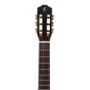 21446_classic-cutaway-eq-nylon-t-spruce-solido-sapele-vesperata-nt-ps-4751-145678_z5_639138445313858375.webp