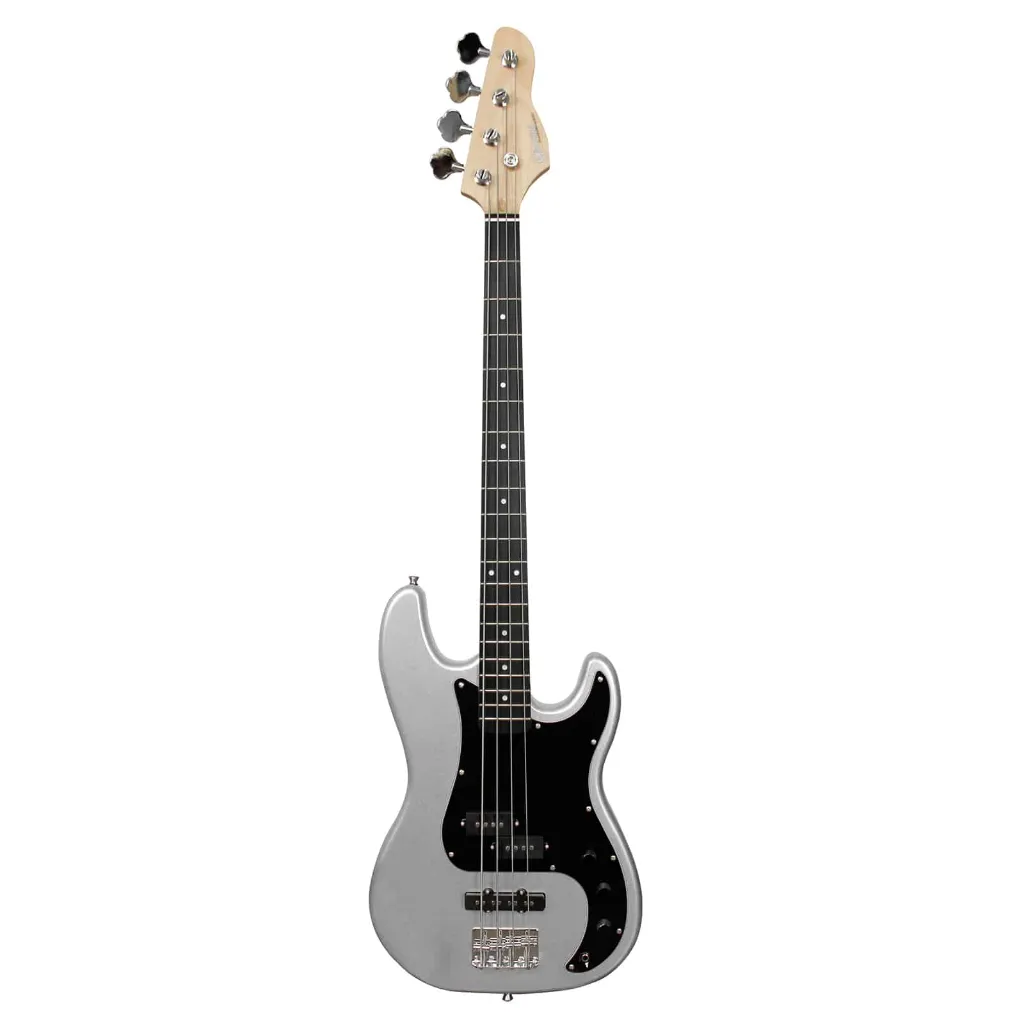 gp-100-sv_bk-01.webp