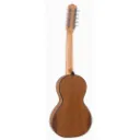 viola_caipira_ponteio_rozini_rv151_ac_f_i_acustica_natural_fosco_imbuia_12809_2_d6371cccc6f85028d435f154c50c4d5a.webp