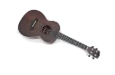 UK06TTOS_3_sem_fundo.webp