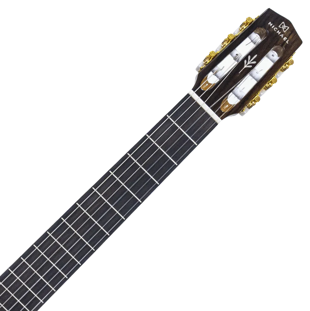 violao-eletrico-michael-renascence-vmr250e_d7d8.webp