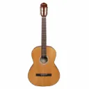 Violao Giannini Performance Plus N-17 N Classico Eletroacustico Nylon Natural Brilhante