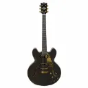 Guitarra Giannini GAE06 DLX BF Sonic Diamond Deluxe Semiacustica Black Coffe (BF)