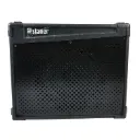 Amplificador de Guitarra Staner Shout-110G 100W