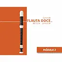 Dvd Videoaula Curso de Flauta Doce Betiza Landim Volume 2 CFD2