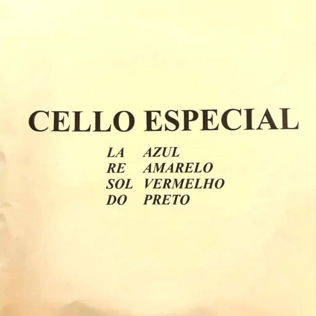 Encordoamento Violoncelo Mauro Calixto Especial