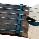 Pestana Acoustic Guitarra Apg 817