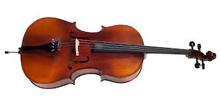 Violoncelo Michael VOM130 Ebano 3/4 Com Bag